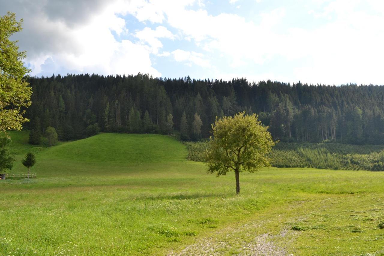 Ferienwohnung Ertlerhof Ranten Экстерьер фото